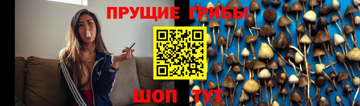 Меф МЯУ МЯУ кристаллы  Меф МЯУ МЯУ  КОКАИН  Шелехов  A PVP СОЛЬ   Гашиш  Марихуана  Гашиш  Вход с VPN 